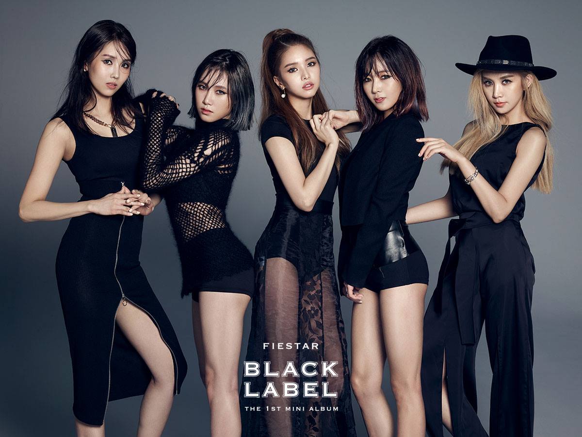 http://cdn.koreaboo.com/wp-content/uploads/2015/02/FIESTAR-Black-Label.jpg