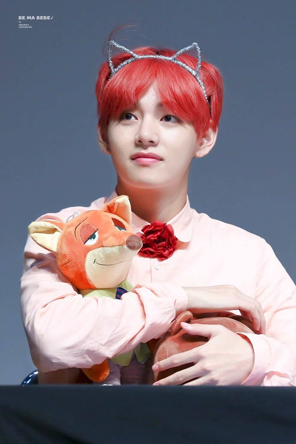 Taehyung holding a soft toy.