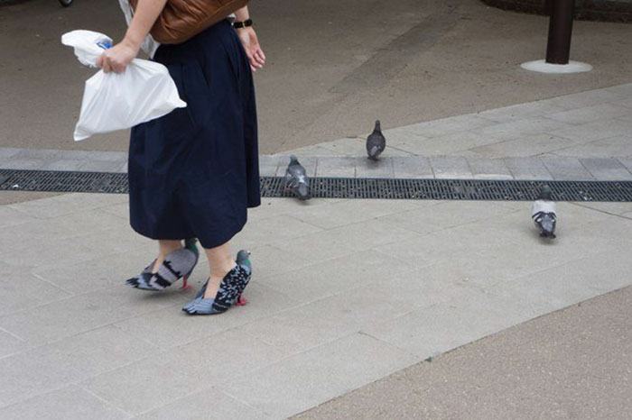 pigeon shoes japanese woman 1 1