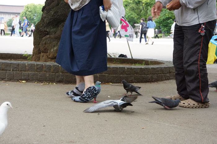 pigeon shoes japanese woman 2