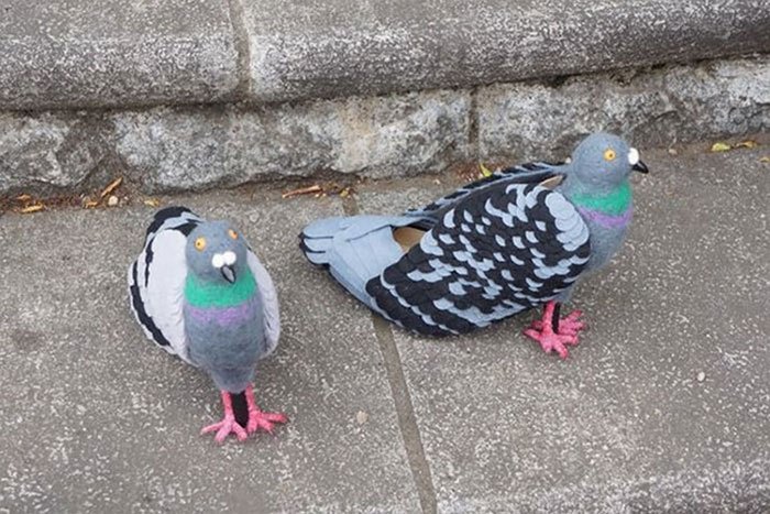 Японка стала популярной благодаря своим туфлям-голубям