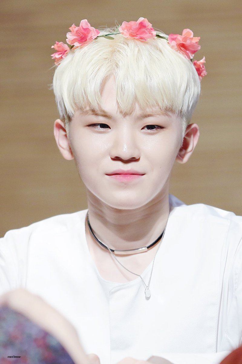 7 Best Pastel Hair Colors From SEVENTEEN Woozi — Koreaboo