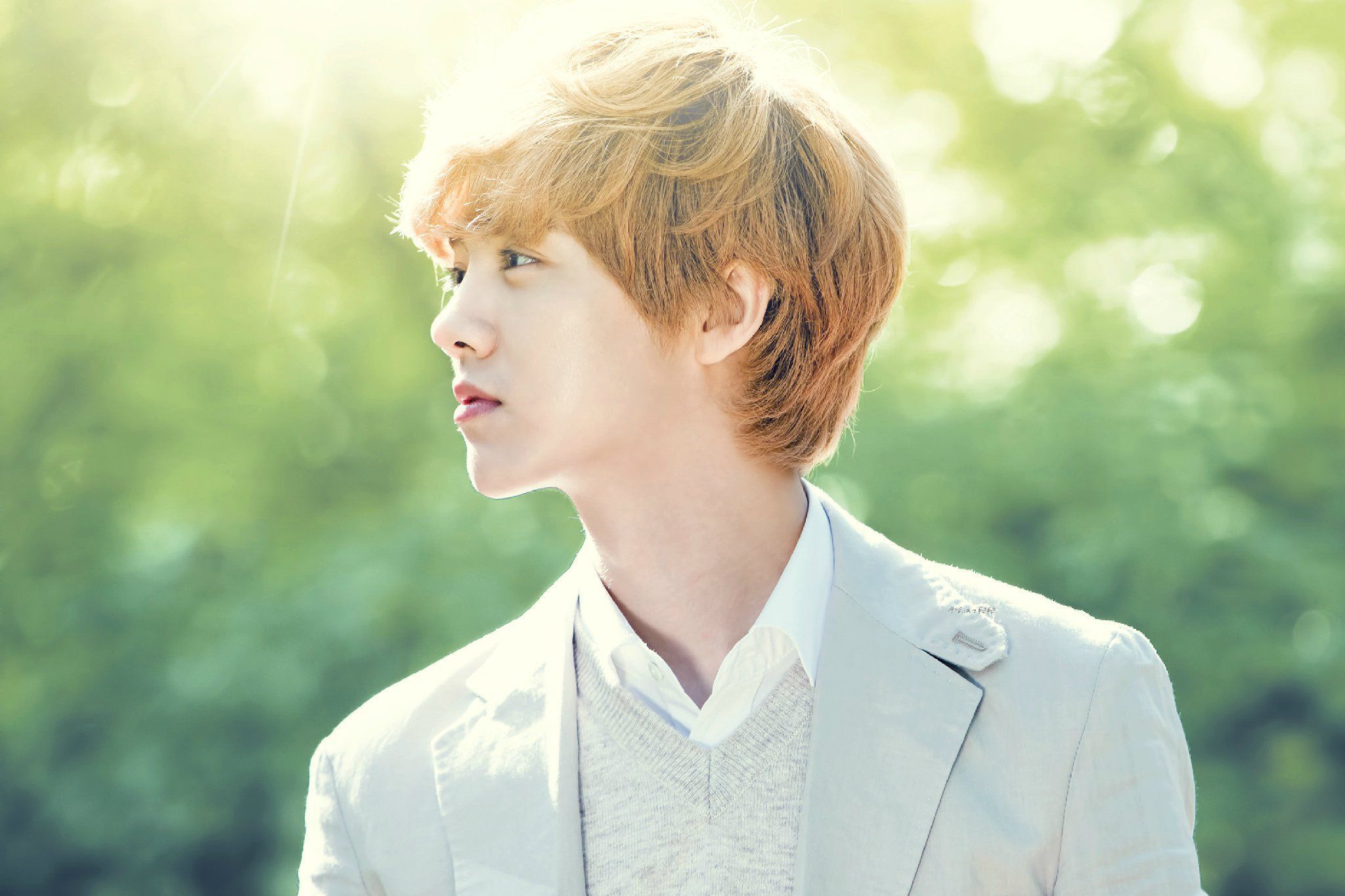 Image result for luhan