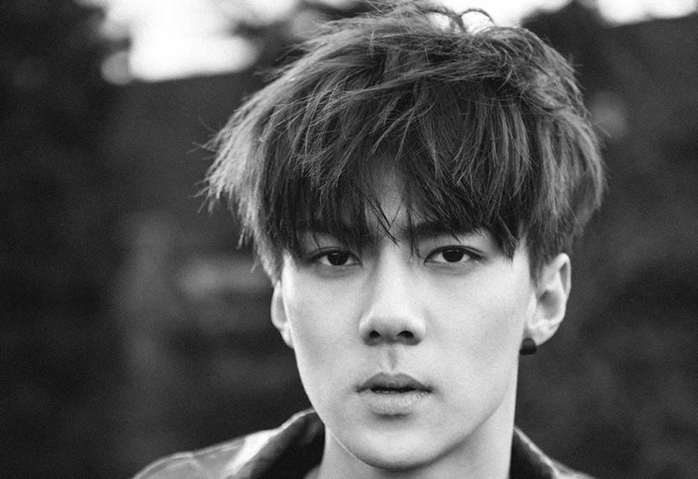 Netizens defend Sehun after alleged anti-fan questioned his singing ...
