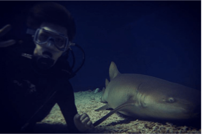 Sehun's Underwater Adventure with a Shark / Sehun Инста (запрещена в РФ) 